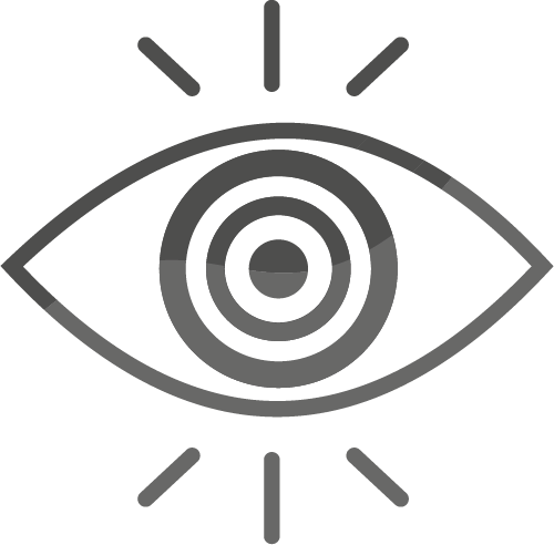 Visión